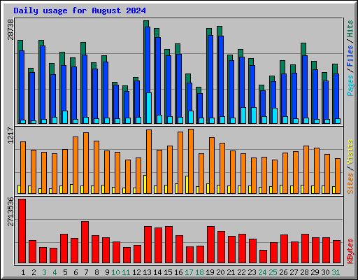 Daily usage for August 2024