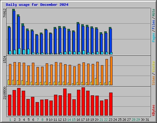 Daily usage for December 2024