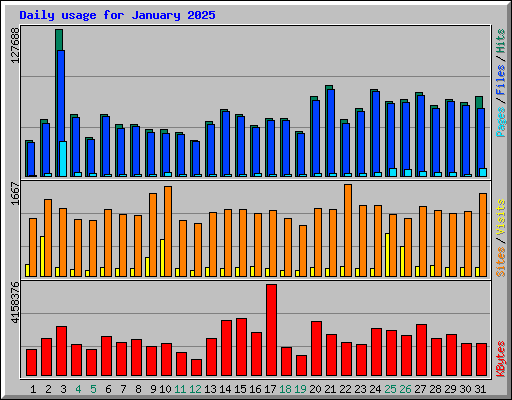 Daily usage for January 2025