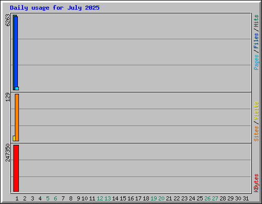 Daily usage for July 2025