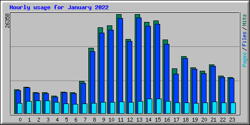 Hourly usage for January 2022