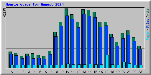 Hourly usage for August 2024