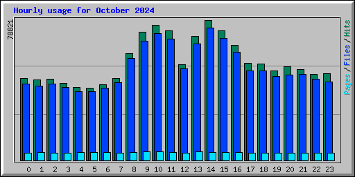 Hourly usage for October 2024