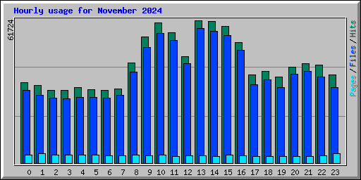 Hourly usage for November 2024