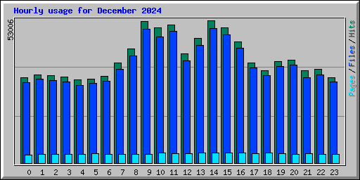 Hourly usage for December 2024