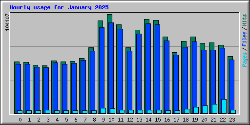 Hourly usage for January 2025