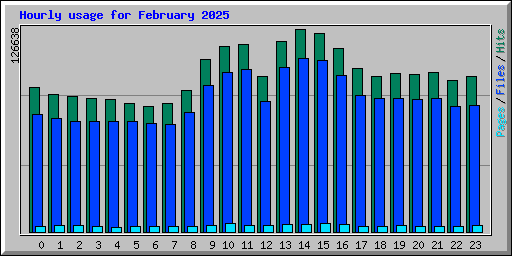 Hourly usage for February 2025