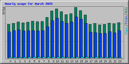 Hourly usage for March 2025