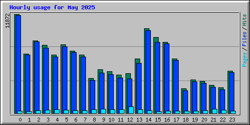 Hourly usage for May 2025