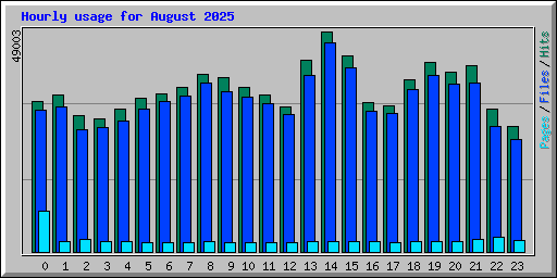 Hourly usage for August 2025