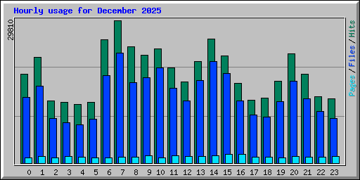 Hourly usage for December 2025