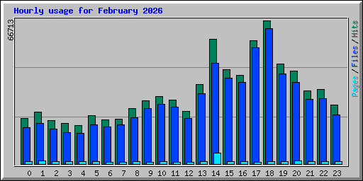 Hourly usage for February 2026